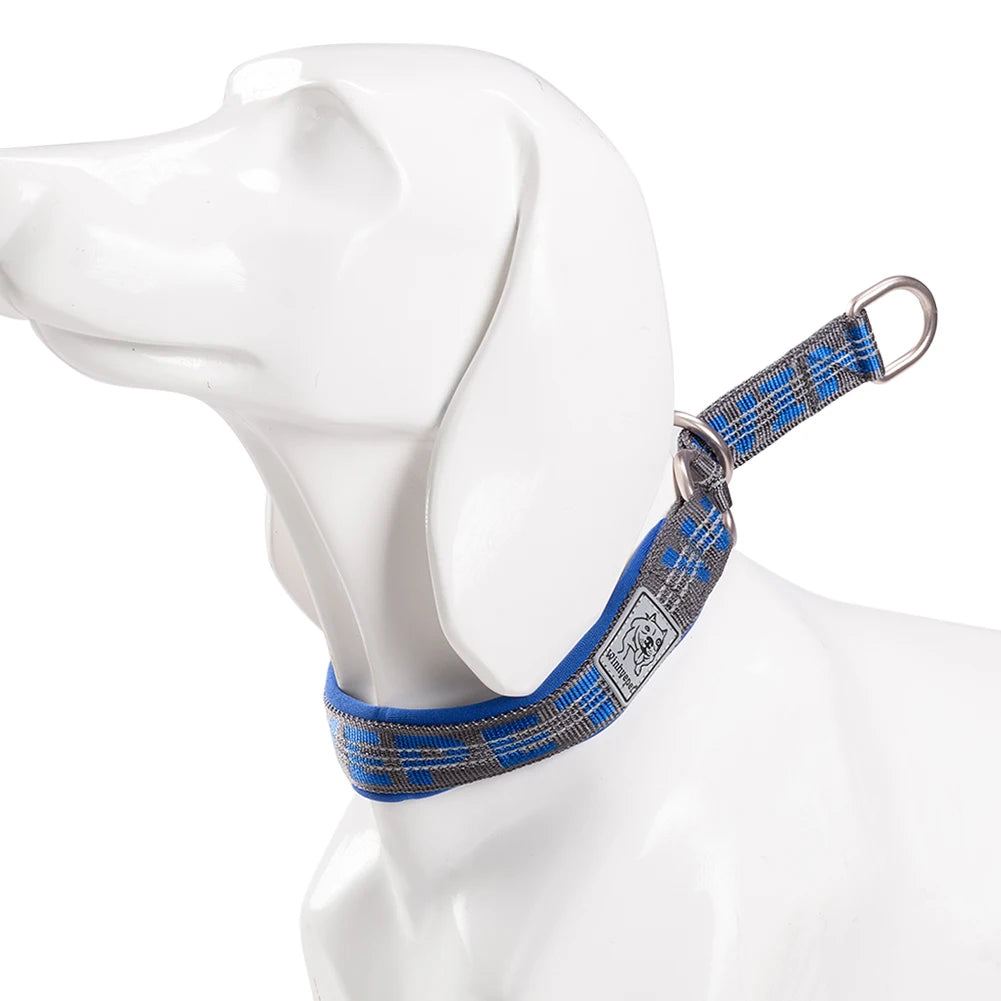 Collier de dressage pour chien- TRUELOVE P-chain