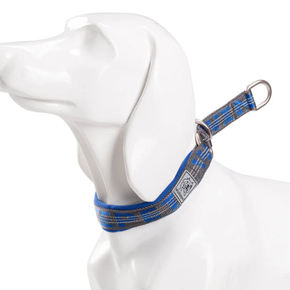 Collier de dressage pour chien- TRUELOVE P-chain