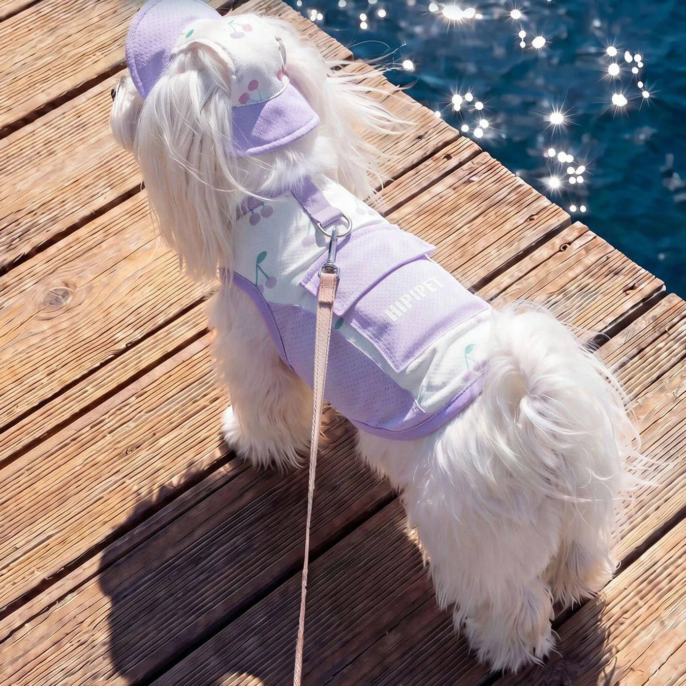 Vest pour chien | DUO Protection UV
