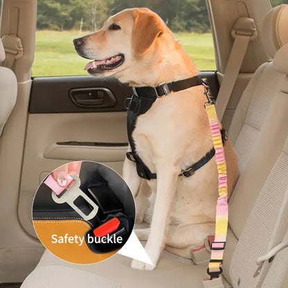 Laisse pour chien- Absorption choc pour voiture