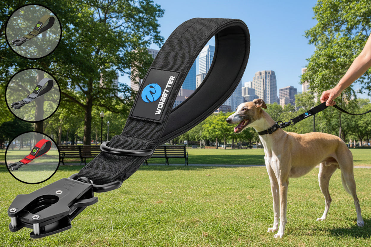 Laisse pour chien | Courte Sécurité
