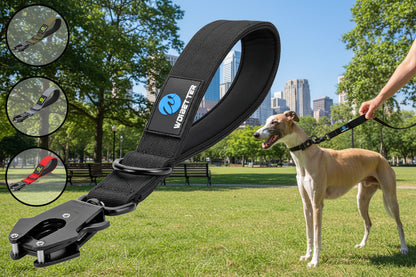 Laisse pour chien | Courte Sécurité
