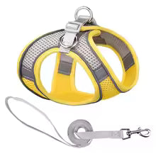 Harnais chiot | Comfort Secure