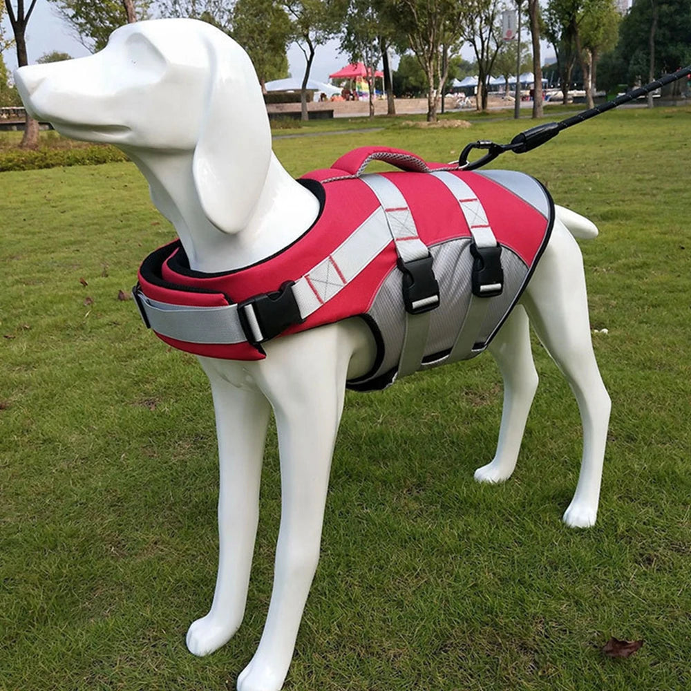 Gilet de sauvetage pour chien- Buoyancy