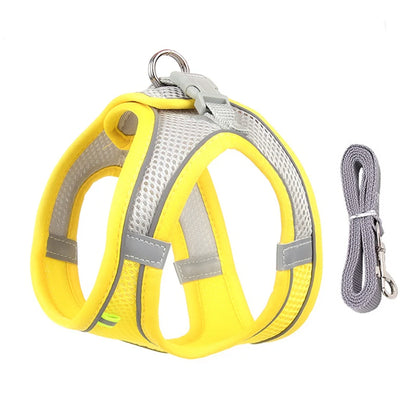 Harnais chien- CDDMPET Set Outdoor