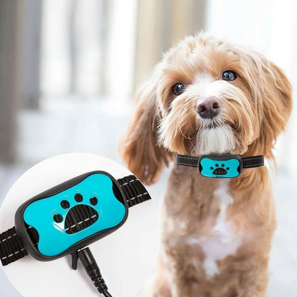 Collier de dressage pour chien- Vibration Anti Bark