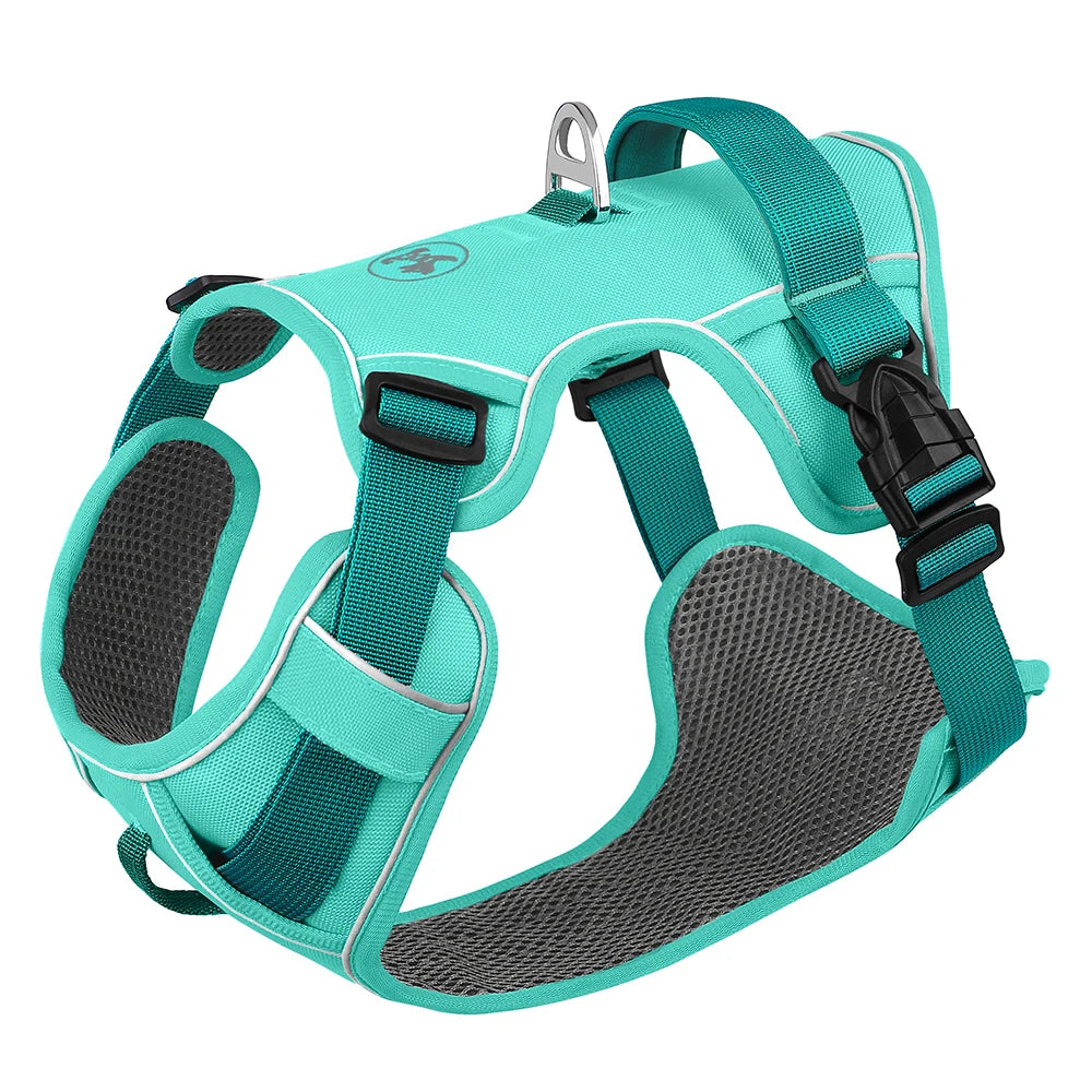 Harnais chien anti traction- Robuste Didog