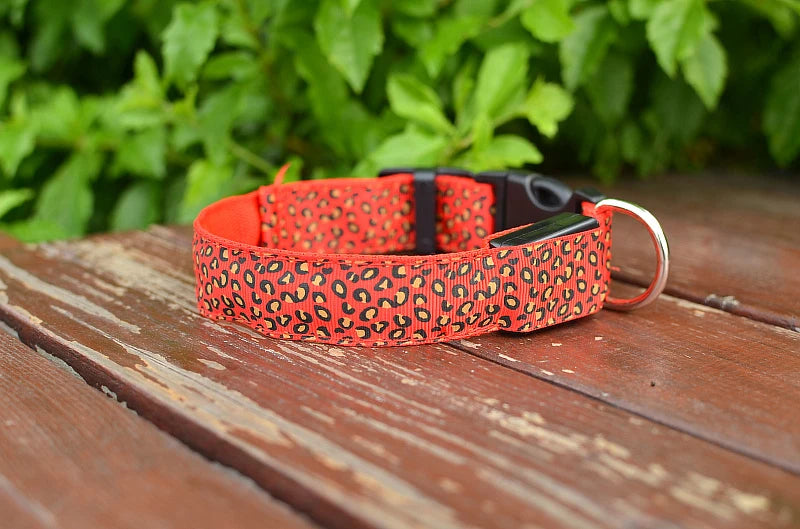 Collier chien lumineux-Léopard LED