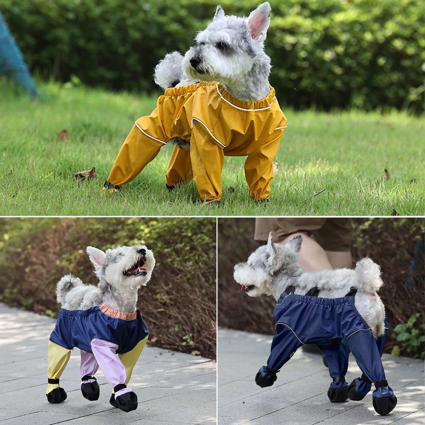 Bottes pour chien | Imperméables Tout-Terrain