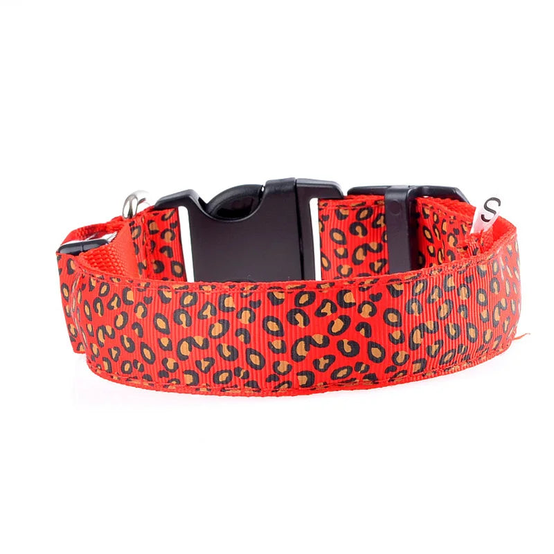Collier chien lumineux-Léopard LED