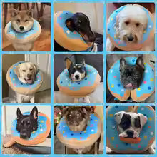 Collerette chien- Beignets protecteur