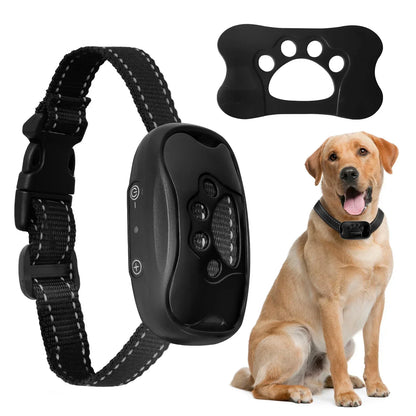 Collier de dressage pour chien- Vibration stop aboiement