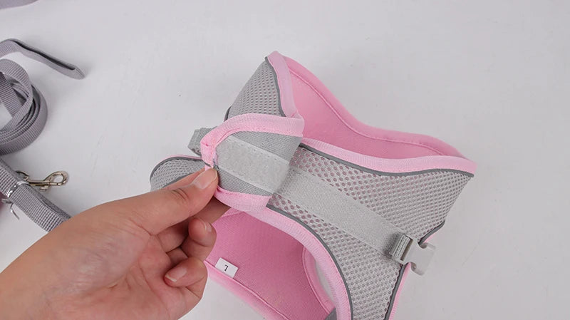 Harnais chien- CDDMPET Set Outdoor