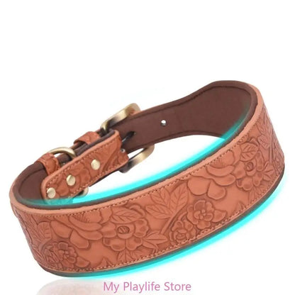 Collier chien cuir | Élégance Confort