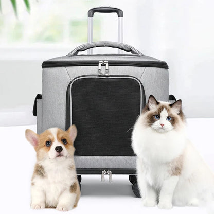 Caisse de transport chien- Suitcase Portable Travel