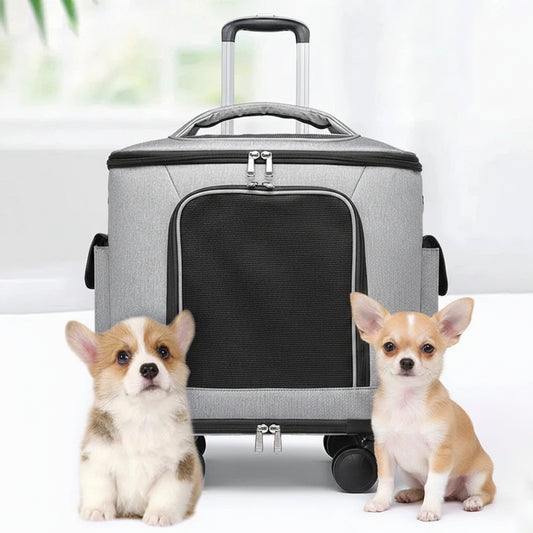 Caisse de transport pour chien- Suitcase Portable Travel