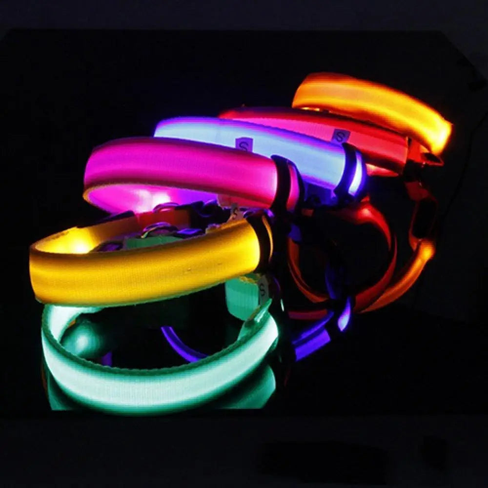 Collier Chien LEDCollarDog™