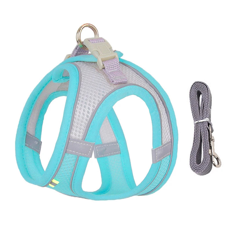 Harnais chien- CDDMPET Set Outdoor