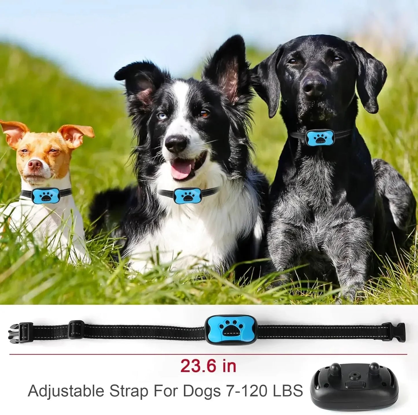 Collier de dressage pour chien- Vibration stop aboiement