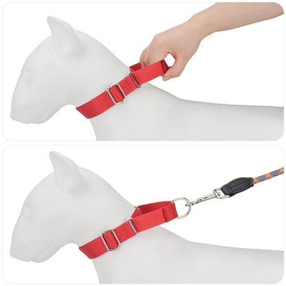Collier de dressage pour chien- Martingale Plus