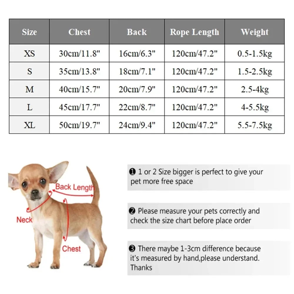 Harnais pour petit chien | Confort Premium