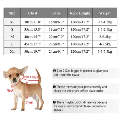Harnais pour petit chien | Confort Premium