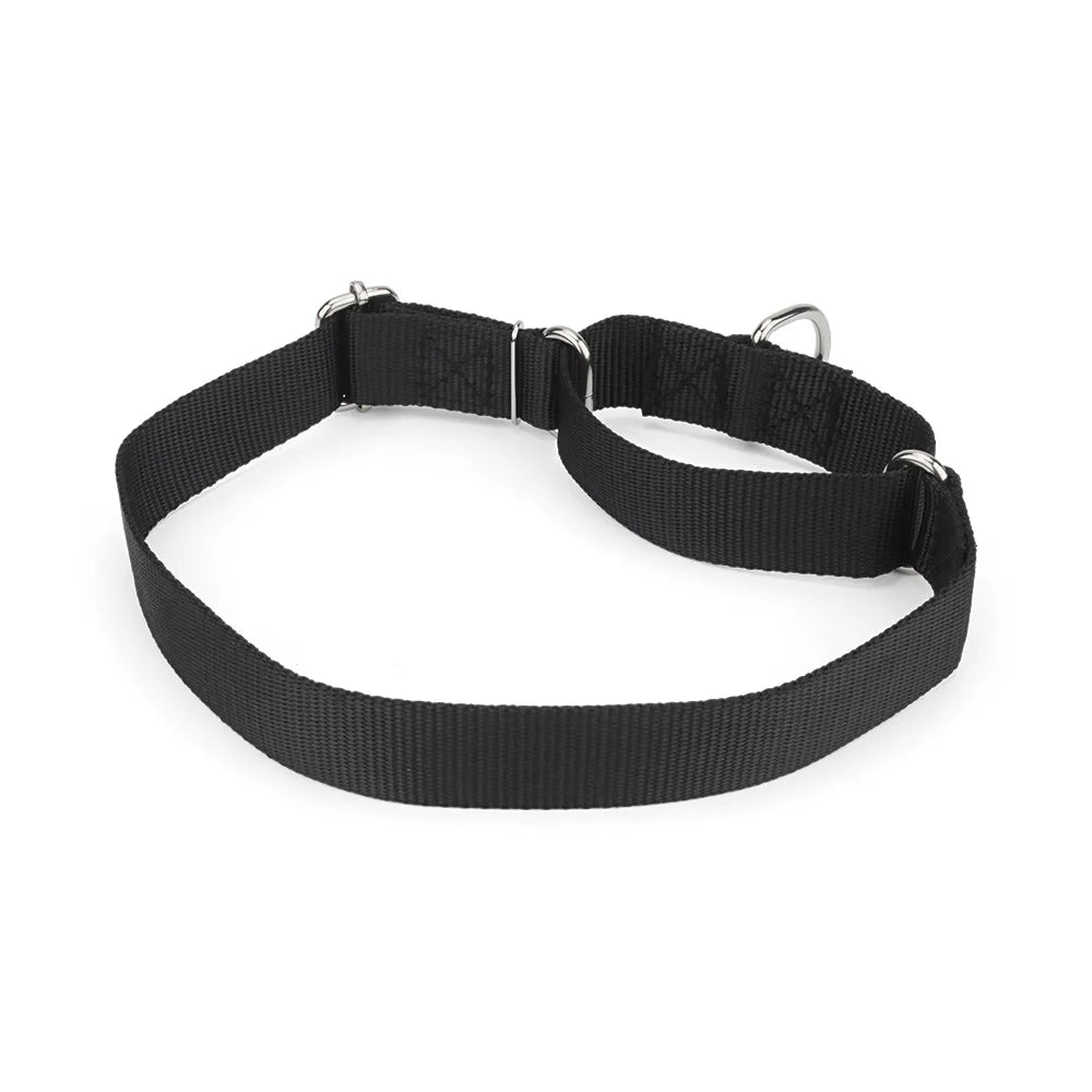 Collier de dressage pour chien- Martingale Plus