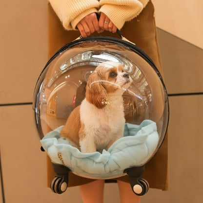 Cage de transport chien- Bulle transparente