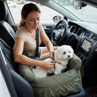 Siege auto pour chien | Sécurisé et Confortable