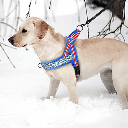 Harnais chien anti traction- No choking