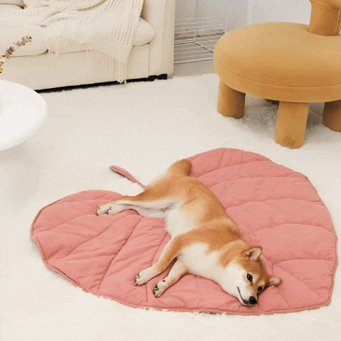 Tapis pour chien feuille tropicale