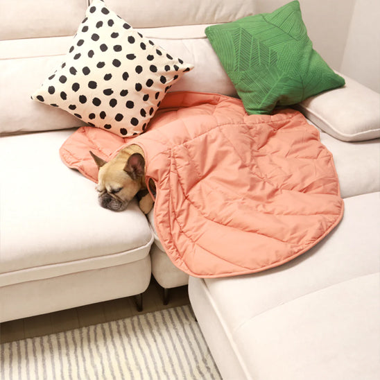Tapis pour chien-Tropicale feuille