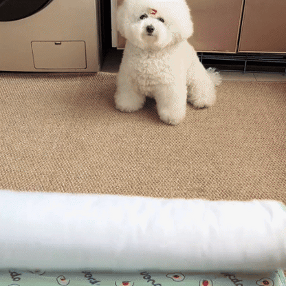 Tapis rafraichissant chien