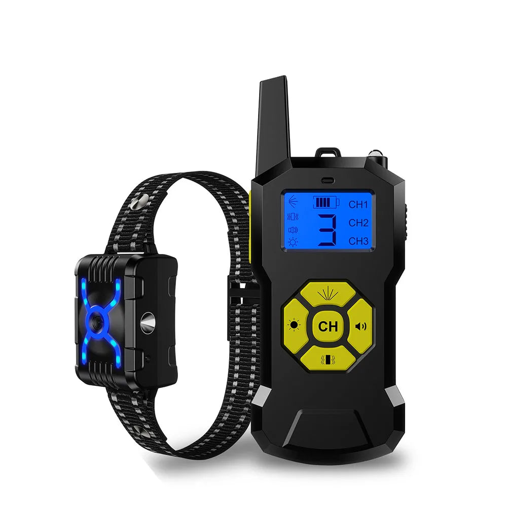 Chien collier de dressage | T500 Citronnelle