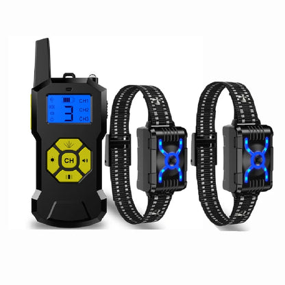 Chien collier de dressage | T500 Duo Citronnelle