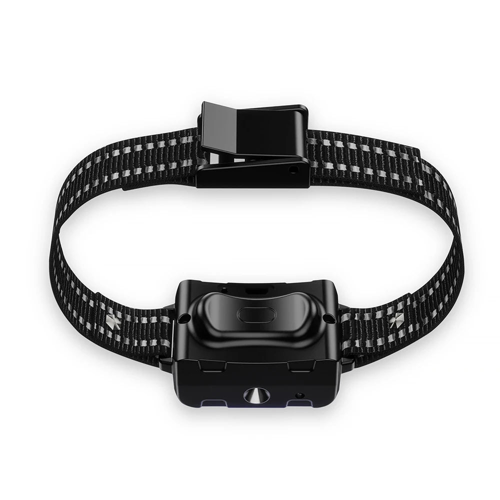 Chien collier de dressage | T500 Duo Citronnelle
