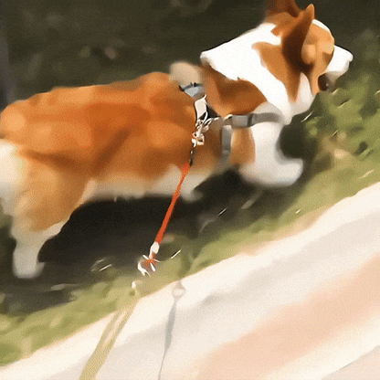 Laisse pour chien-Wire polyvalent