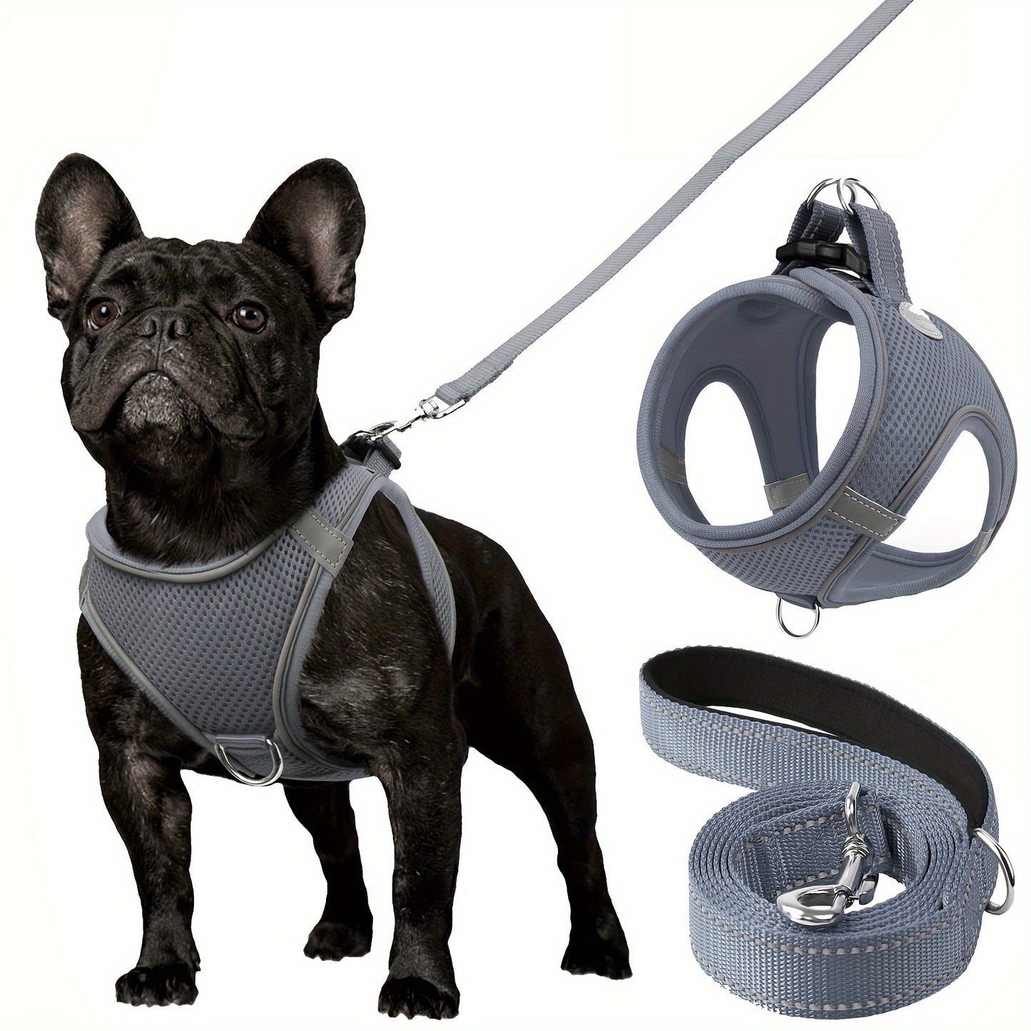 Laisse pour chien- Joytale Reflective Laisse- Harnais