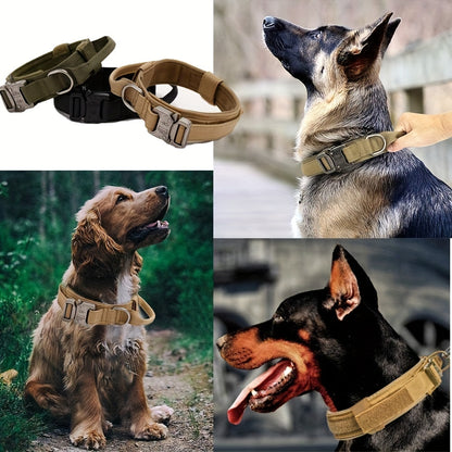 Collier de dressage pour chien- Heavy-Duty Tactical Dog Collar