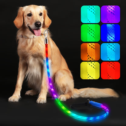 Laisse LED Réfléchissante pour Chien | NightSafe