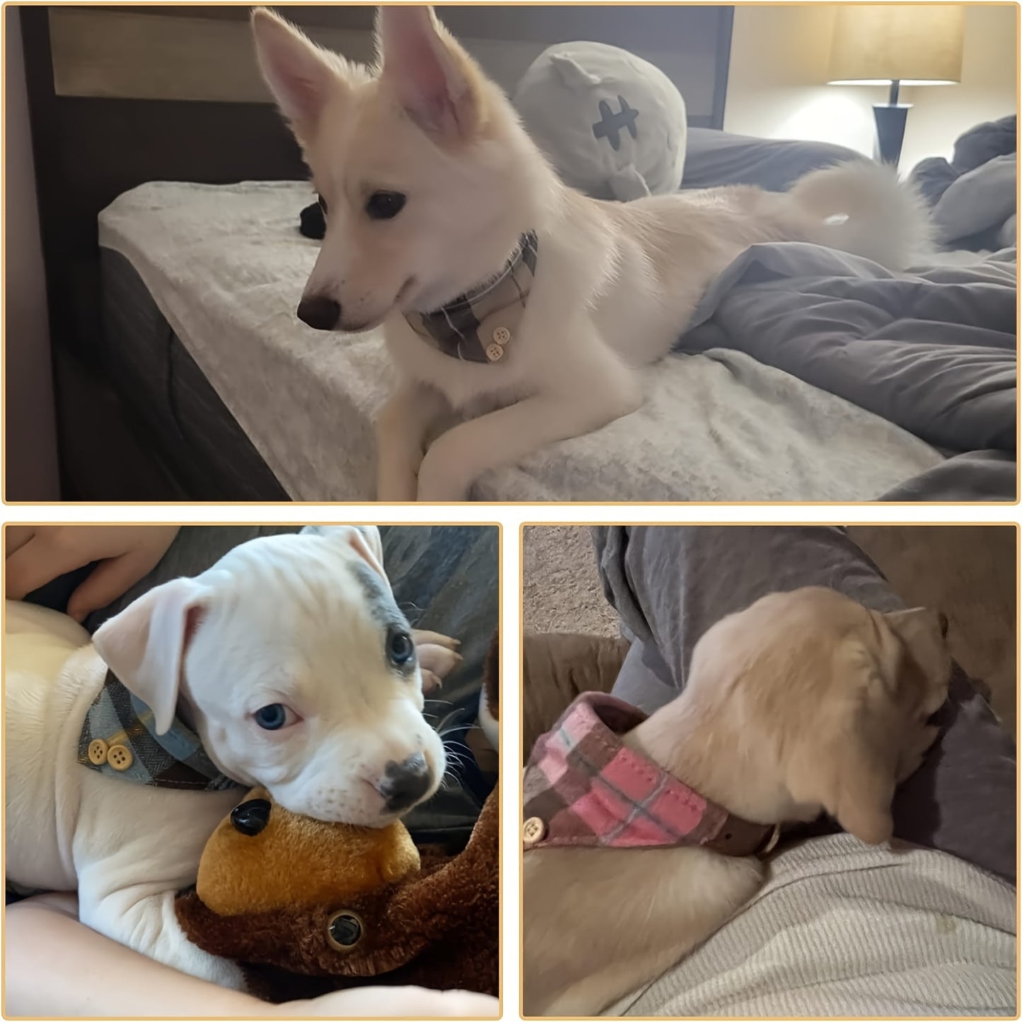 Collier chien- Plaid Leather Dog Collar Set with Bandana and Bowtie