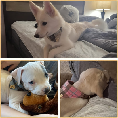 Collier chien- Plaid Leather Dog Collar Set with Bandana and Bowtie