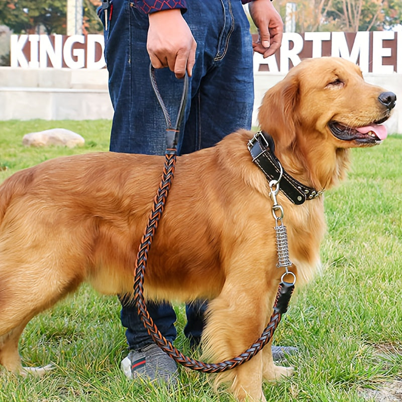 Laisse pour chien- Strong Cowhide Dog Leash and Collar