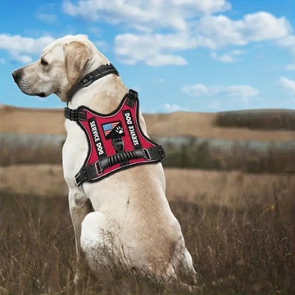 Laisse pour chien- Ensemble Service Dog