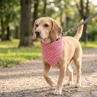 Bandana pour Chien | Élégant et Confortable - Le Chihuahua Voyageur