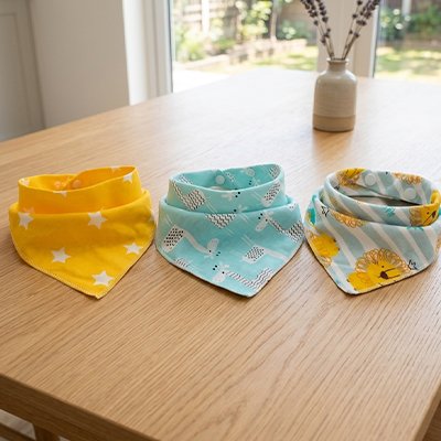 Bandana pour Chien 