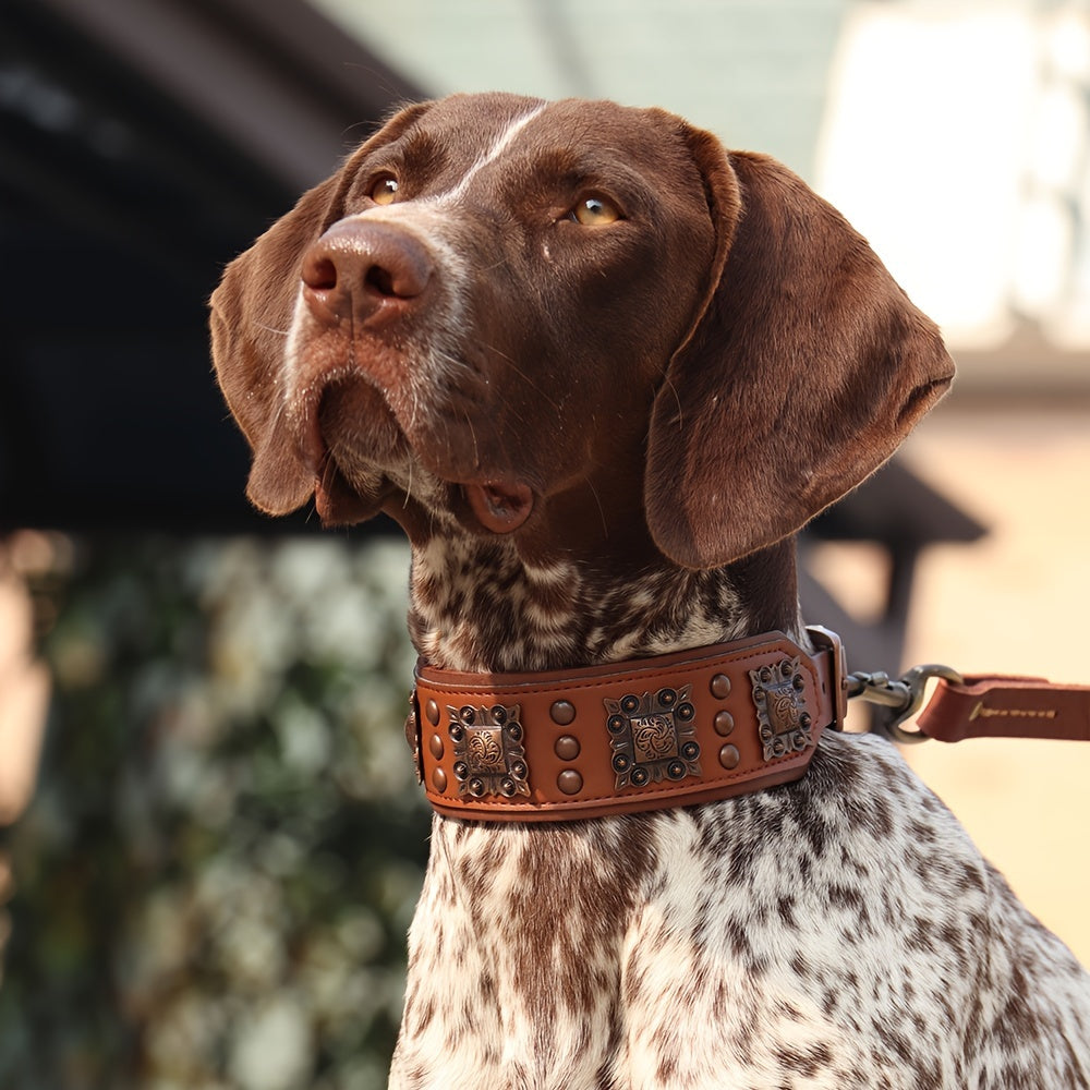 Collier cuir chien- studded leather collar