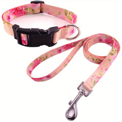 Laisse pour chien- Couleur Plaisir