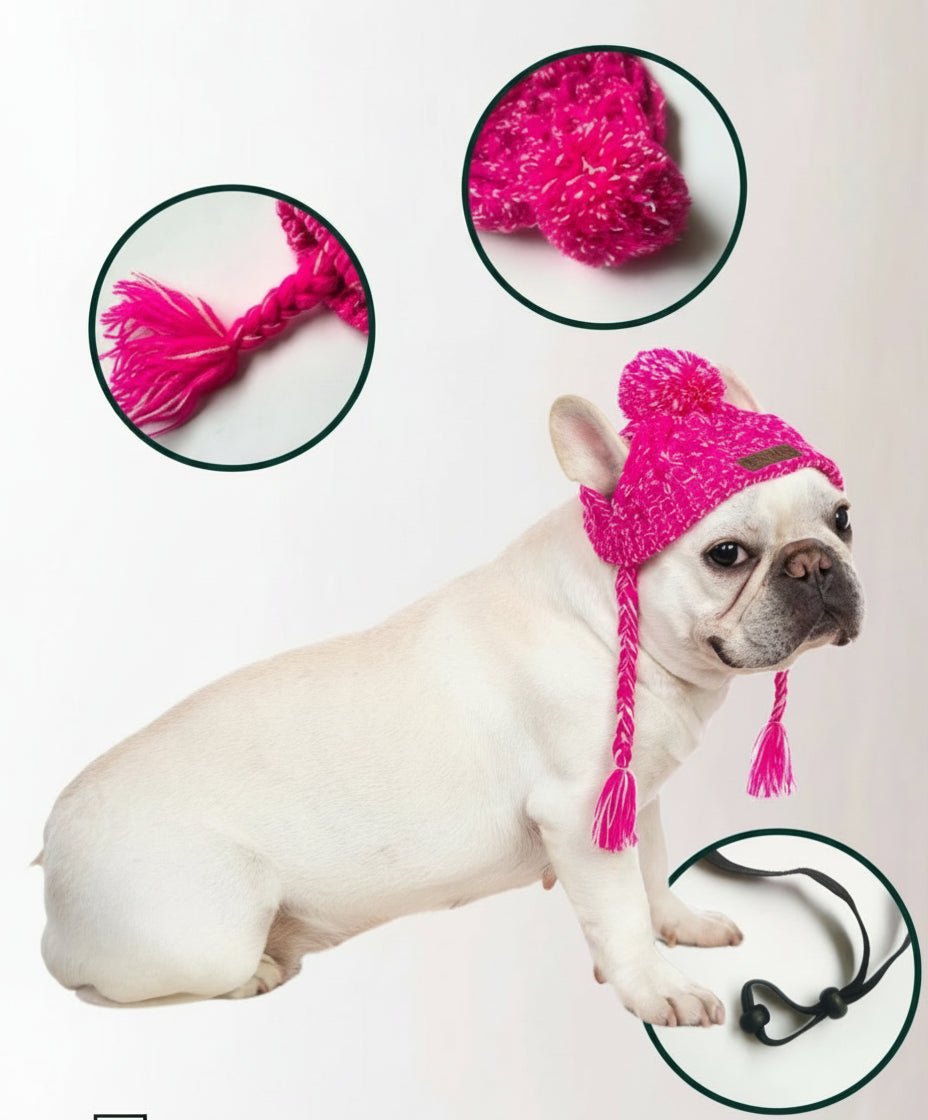 Bonnet pour chien | Cozy Winter - Le Chihuahua Voyageur