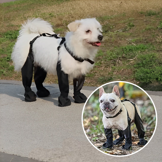 bottes-pour-chien-ajustable